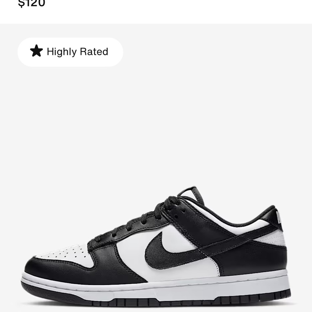 Nike Dunk Low “Panda” Black/White